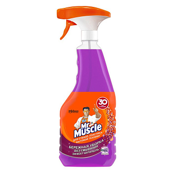 Mr Muscle чистящее средство для стёкол и поверхностей лаванда 530 мл