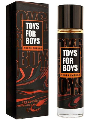 Парфюм XXI века туалетная вода toys for boys super energy для мужчин 100мл